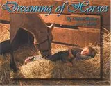 Cover of Dreaming of Horses 2006 Calendar