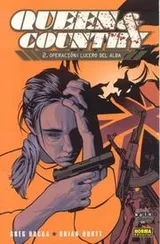 Cover of Queen & Country, vol. 2: operacion lucero del alba/ Queen & Country vol. 2