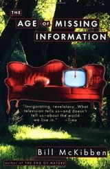 Cover of The age of missing information
