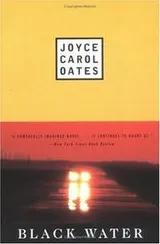 Cover of Black Water