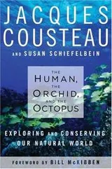 Cover of The human, the orchid, and the octopus : exploring and conserving our natural world