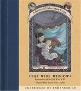 Cover of The Wide Window