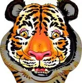 Cover of Tiger