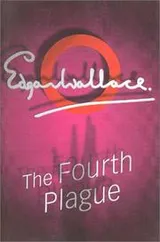 Cover of The fourth plague