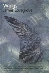 Cover of Wings