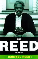 Cover of The Reed reader