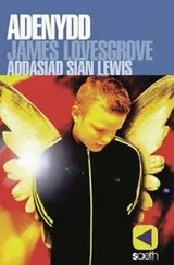 Cover of Adenydd