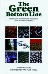 Cover of Green Bottom Line