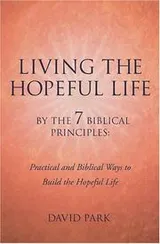 Cover of Living the Hopeful Life
