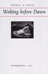 Cover of Waking before dawn
