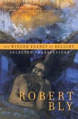 Cover of The Winged Energy of Delight