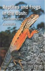 Cover of Reptiles and frogs in the bush