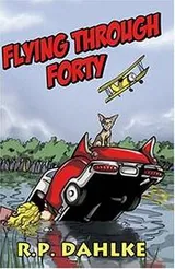 Cover of Flying Through Forty