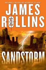Cover of Sandstorm