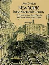 Cover of New York in the nineteenth century