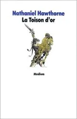 Cover of The Golden Fleece