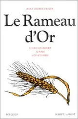 Cover of Le Rameau d'or