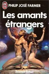 Cover of Les amants étrangers