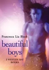 Cover of Beautiful boys