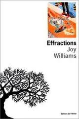 Cover of Effractions