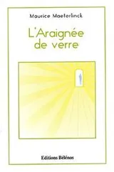 Cover of L'araignee de verre