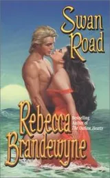 Cover of Swan Road