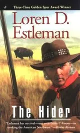 Cover of The hider