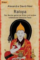 Cover of Ralopa