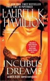 Cover of Incubus Dreams (Anita Blake, Vampire Hunter: Book 12)