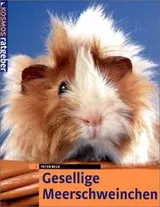 Cover of Gesellige Meerschweinchen