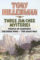 Cover of Three Jim Chee mysteries