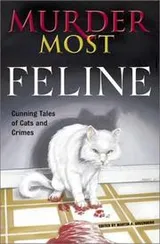 Cover of Murder Most Feline