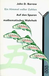 Cover of Ein Himmel voller Zahlen. Auf den Spuren mathematischer Wahrheit