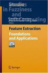 Cover of Feature extraction