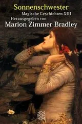 Cover of Sword and Sorceress XIII