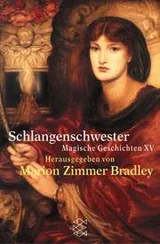 Cover of Sword and Sorceress XV
