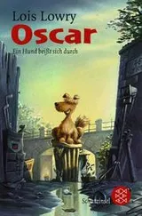 Cover of Stay!