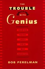 Cover of The trouble with genius