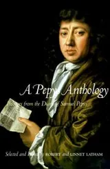Cover of A Pepys anthology