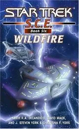Cover of Star Trek S.C.E. - Wildfire