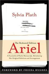 Cover of Ariel
