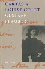 Cover of Cartas a Louise Colet