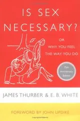 Cover of Is sex necessary?, or, why you always feel the way you do