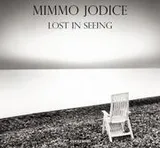 Cover of Lost in Seeing