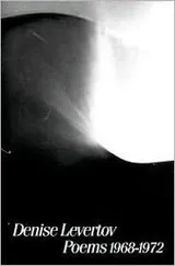 Cover of Poems 1968-1972