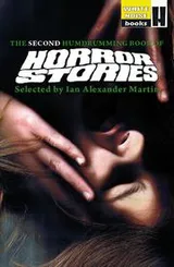 Cover of The First Humdrumming Book of Horror Stories