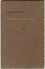 Cover of Summer poems, 1969