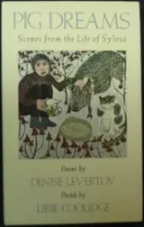 Cover of Pig Dreams