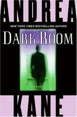 Cover of Dark Room
