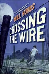 Cover of Crossing the wire
